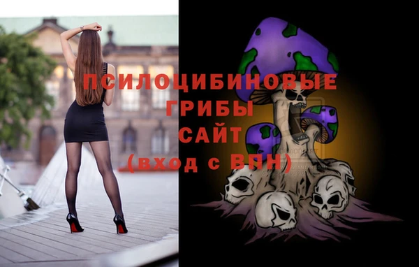 apvp Алексин