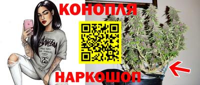 СК Изобильный