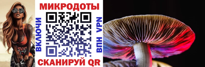 закладка даркнет какой сайт omg Псилоцибиновые грибы мицелий Лосино-Петровский